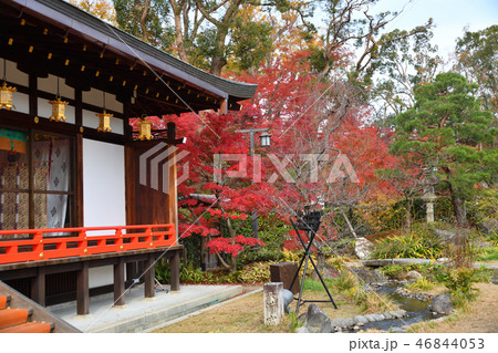 北野天満宮紅葉2018 46844053