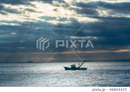 舞浜より房総半島方面を望む 46844425