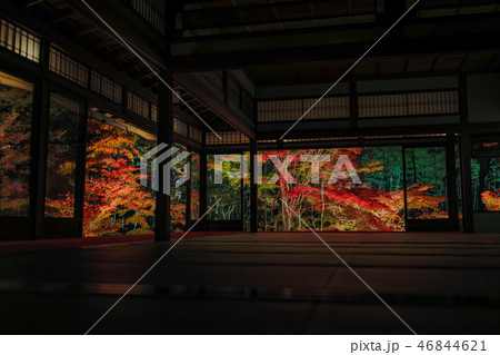 京都：南禅寺-天授庵- 46844621