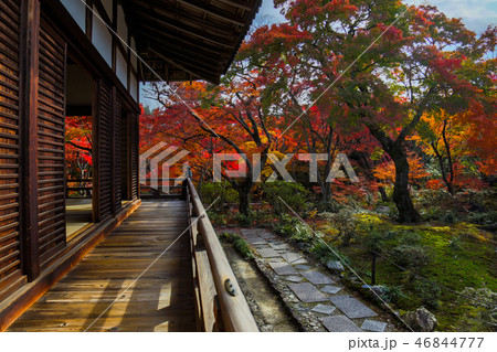 宝筐院：紅葉 46844777