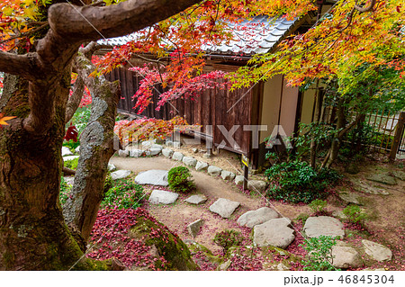 百濟寺紅葉 百濟寺紅葉 46845304