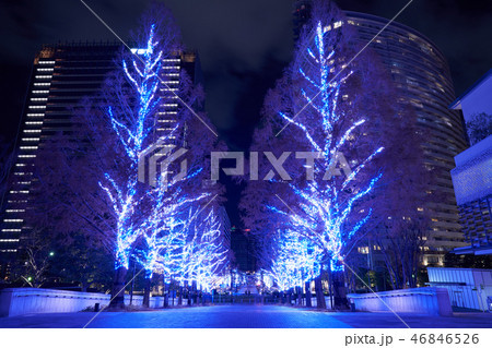 都市夜景 横浜 クリスマスイルミネーション 都市夜景 横浜 クリスマスイルミネーション 46846526