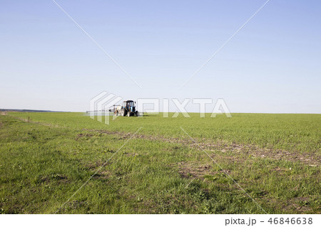 Farmer on a tractor is spraying green wheat field. 46846638