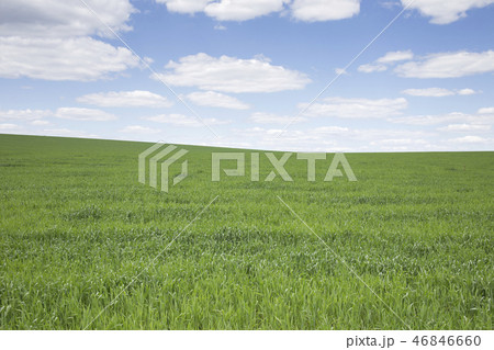 Beautiful view of the green field with clouds. 46846660