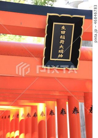 神戸　生田神社 46846783
