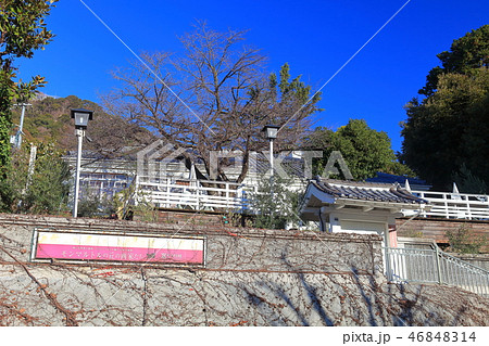 【兵庫県】晴天下の神戸北野美術館 【兵庫県】晴天下の神戸北野美術館 46848314