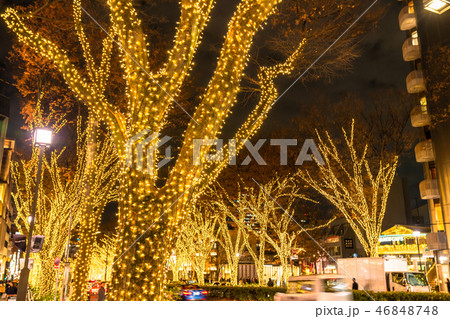 《東京都》表参道・冬のイルミネーション 46848748