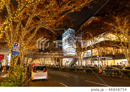 《東京都》表参道・冬のイルミネーション 46848754