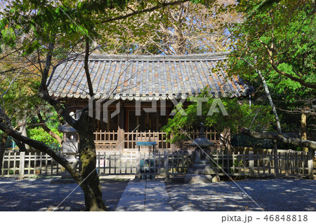 鎌倉　高徳院（鎌倉大仏）　観月堂 46848818