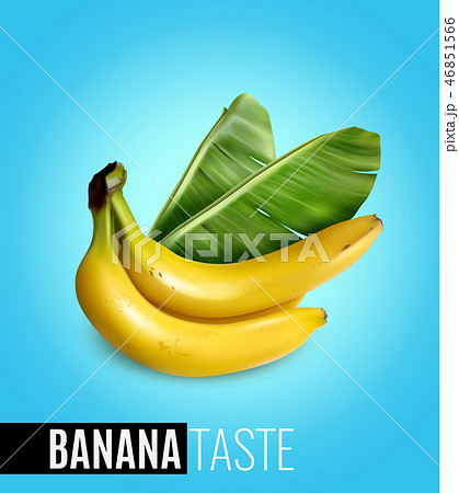 Banana Realistic Poster  46851566