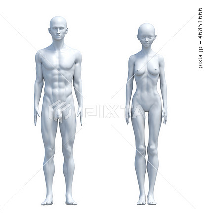 男女の体 比較イメージ ホワイトスキン イラスト Perming3dcgイラスト素材のイラスト素材