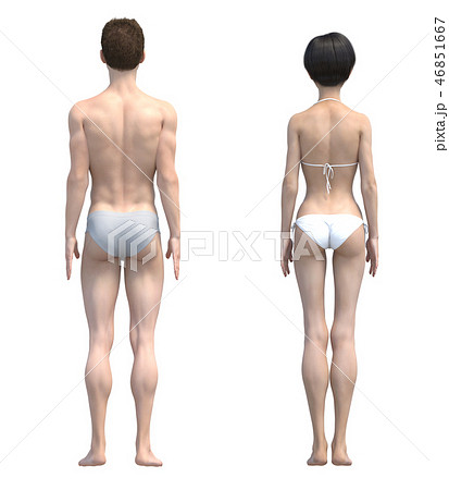 男女の体 比較イメージ 下着着用 イラスト Perming3dcgイラスト素材のイラスト素材