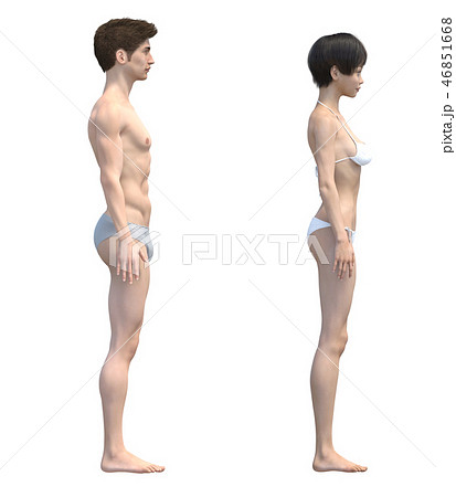 男女の体 比較イメージ 下着着用 イラスト Perming3dcgイラスト素材のイラスト素材