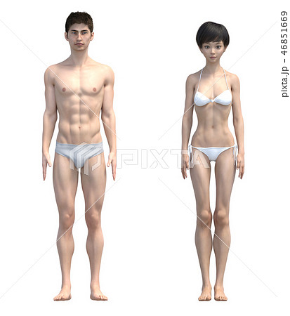 男女の体 比較イメージ 下着着用 イラスト Perming3dcgイラスト素材の