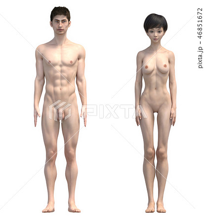 男女の体　比較イメージ　フルヌード　イラスト　perming3DCGイラスト素材 46851672
