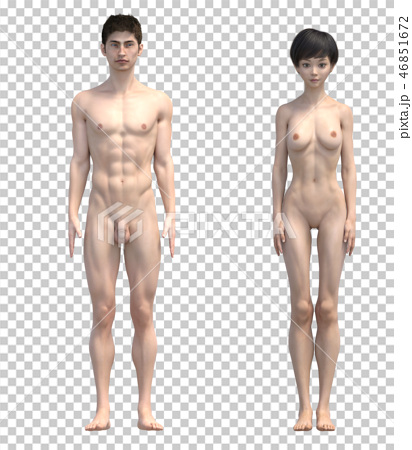 男女の体　比較イメージ　フルヌード　イラスト　perming3DCGイラスト素材 46851672