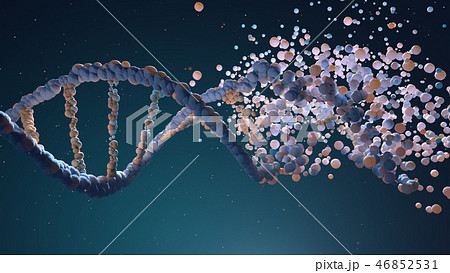 DNA strand assembling from different elements 46852531