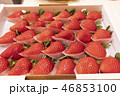 箱入り苺 46853100