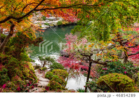 本坊庭園の紅葉と池 百済寺 本坊庭園の紅葉と池 百済寺 46854289