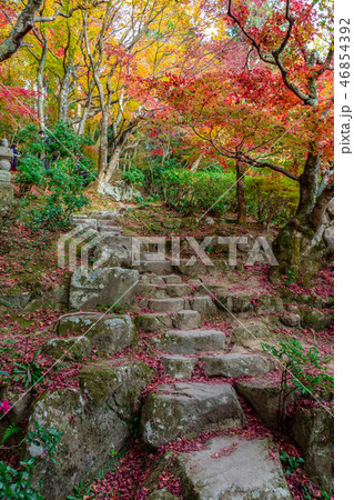 紅葉 百済寺 紅葉 百済寺 46854392