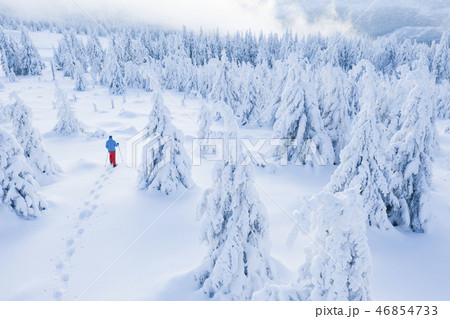 Aerial view of snowshoes walker in snowy forest Aerial view of snowshoes walker in snowy forest 46854733