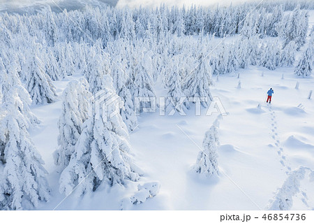 Aerial view of snowshoes walker in snowy forest 46854736