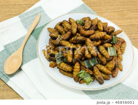 Deep Fried Coconut Worms on A White Dish Deep Fried Coconut Worms on A White Dish 46856001