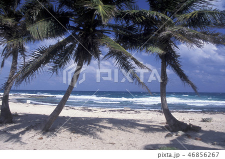 MEXICO YUCATAN CANCUN BEACH CARIBBEAN SEA 46856267