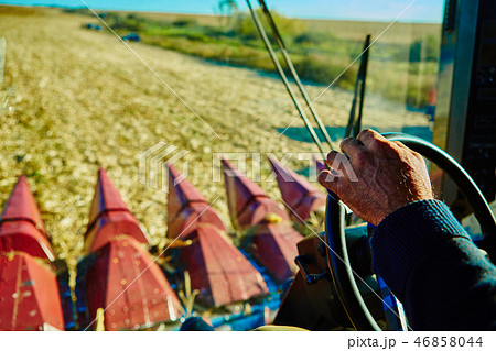 View from the cabin of combine harvester during work on the corn field View from the cabin of combine harvester during work on the corn field 46858044