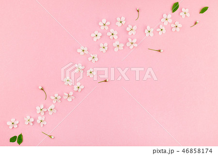 White spring cherry tree blooming flowers pattern White spring cherry tree blooming flowers pattern 46858174