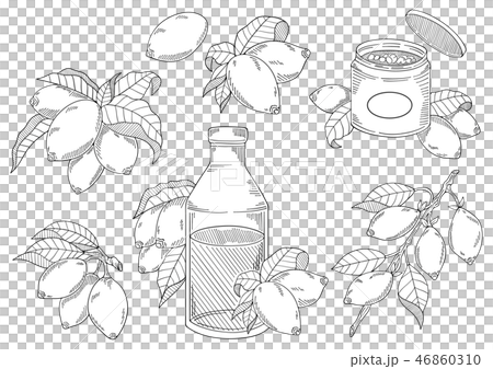 蓮花杯例證材料 46860310