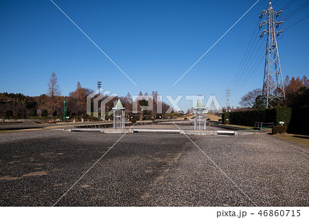 大宮花の丘農林公苑 冬景色 大宮花の丘農林公苑 冬景色 46860715