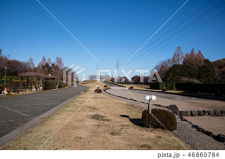 大宮花の丘農林公苑 冬景色 大宮花の丘農林公苑 冬景色 46860784