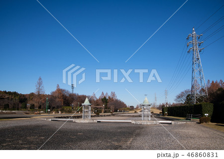 大宮花の丘農林公苑 冬景色 大宮花の丘農林公苑 冬景色 46860831