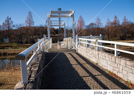 大宮花の丘農林公苑 ハネ橋 冬景色 大宮花の丘農林公苑 ハネ橋 冬景色 46861059