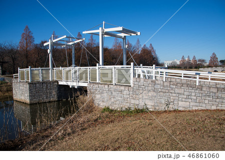 大宮花の丘農林公苑 ハネ橋とビオトープ 冬景色 大宮花の丘農林公苑 ハネ橋とビオトープ 冬景色 46861060