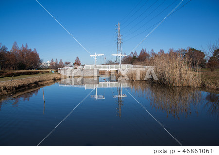 大宮花の丘農林公苑 ビオトープ ハネ橋 冬景色 大宮花の丘農林公苑 ビオトープ ハネ橋 冬景色 46861061