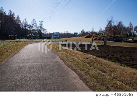 大宮花の丘農林公苑　冬景色 46861068