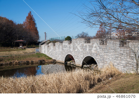 大宮花の丘農林公苑 石橋とビオトープ 冬景色 大宮花の丘農林公苑 石橋とビオトープ 冬景色 46861070
