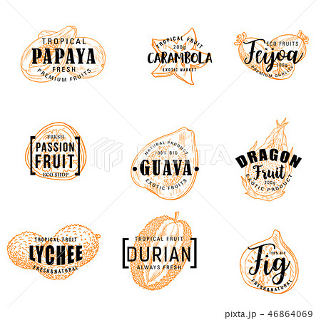 Exotical fruits and tropical berries lettering Exotical fruits and tropical berries lettering 46864069