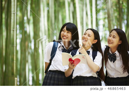 竹林でガイドブックを開く三人の女子高生 竹林でガイドブックを開く三人の女子高生 46865463