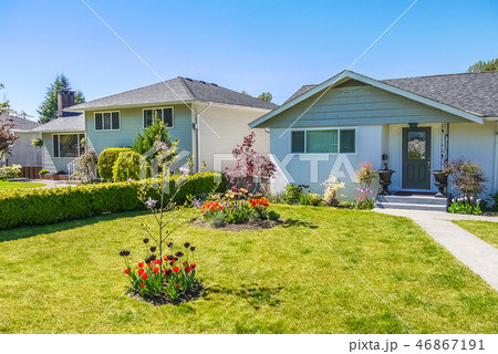 Average family house with black tulips on the yard 46867191