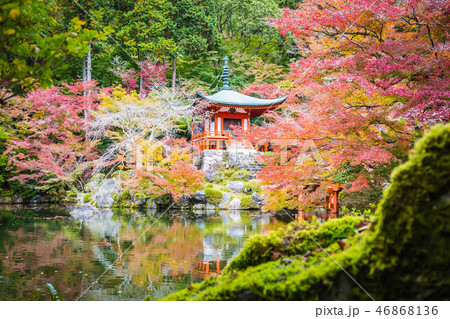 Beautiful Daigoji temple with colorful tree and leaf in autumn season Beautiful Daigoji temple with colorful tree and leaf in autumn season 46868136