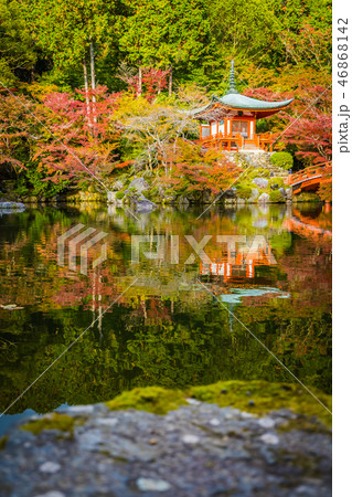 Beautiful Daigoji temple with colorful tree and leaf in autumn season Beautiful Daigoji temple with colorful tree and leaf in autumn season 46868142