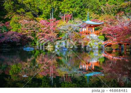 Beautiful Daigoji temple with colorful tree and leaf in autumn season Beautiful Daigoji temple with colorful tree and leaf in autumn season 46868481