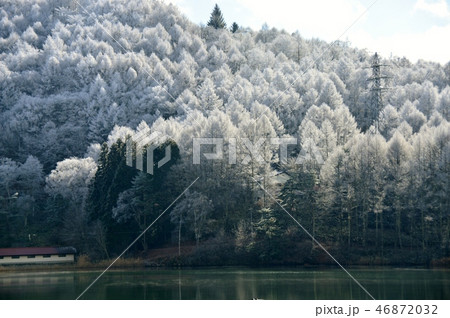 霧氷の花咲く湖畔の冬景色 霧氷の花咲く湖畔の冬景色 46872032