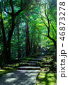 西山興隆寺 愛媛県 46873278
