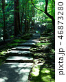 西山興隆寺 愛媛県 46873280