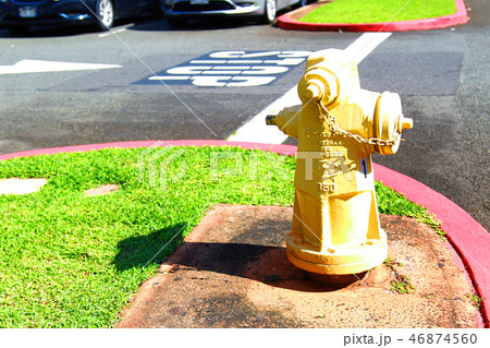 黄色い消火栓 46874560