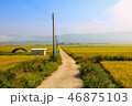 田舎 秋 風景 46875103